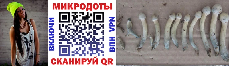 Купить  Сегежа  Псилоцибиновые грибы ЛСД 